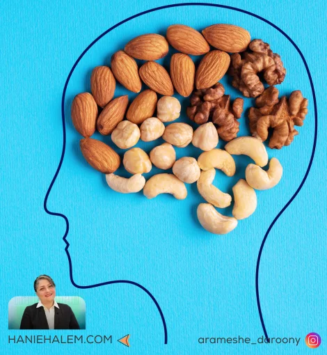 انواع مغز برای مغز