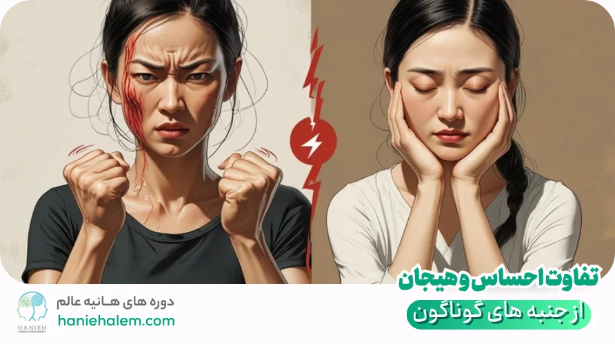 فرق اساسی احساس و هیجان