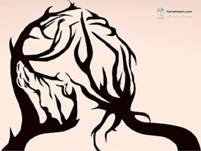 شخصیت شناسی تصویری درونگرایی یا برونگرایی
