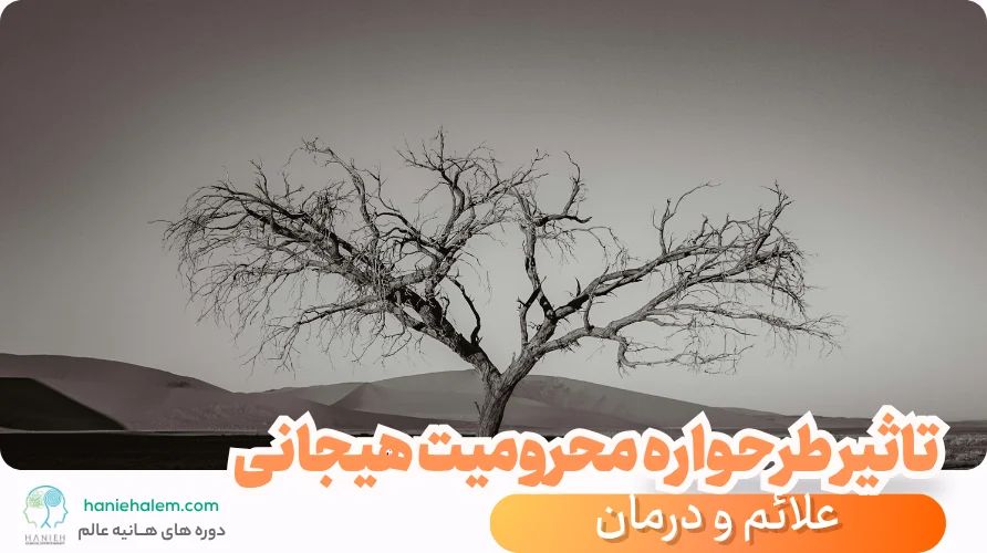 طرحواره محرومیت هیجانی چیست