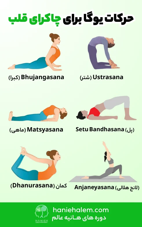حرکات یوگا برای چاکرای قلب
