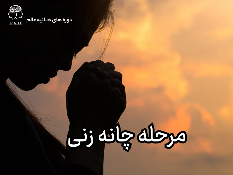 مرحله چانه زنی در روانشناسی